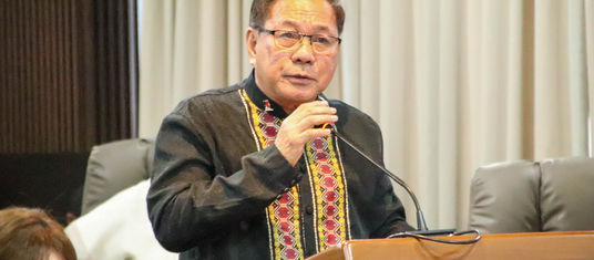 Abaday mihatag katin-awan sa pahayag nga dili ibilanggo ang mga durogista