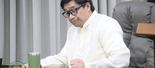 Proposed green building ordinance up for review