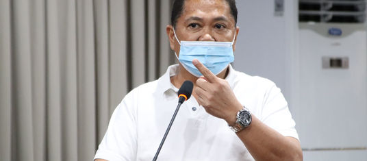 Mulo sa taga-Bulua giaksyonan sa komite sa Env’t