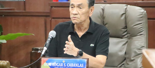 Cabanlas welcomes lot donation for road
