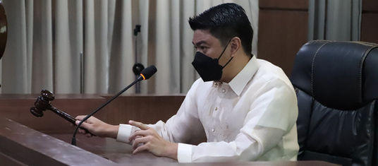 Pagpreserba sa bakhawan dihas Bonbon gipalapdan