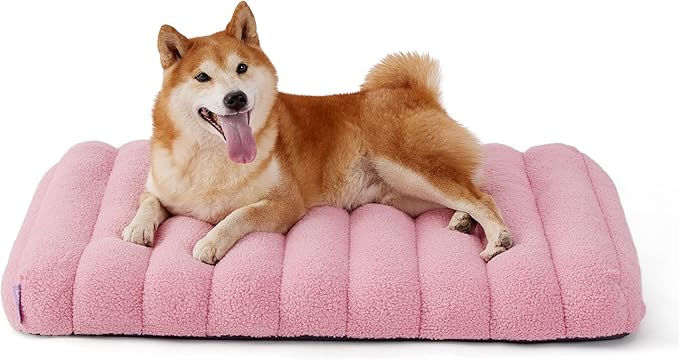 Memory Foam Dog Beds