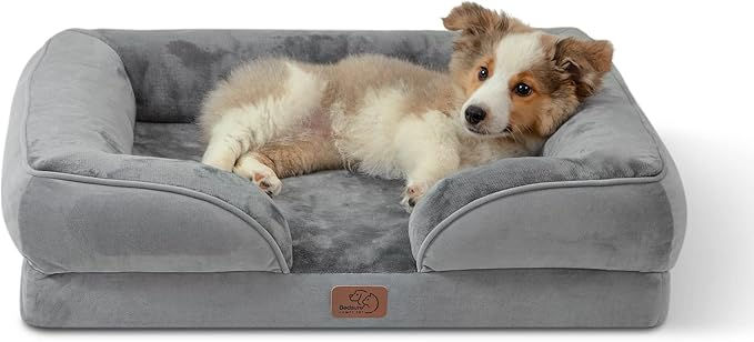 Memory Foam Dog Beds