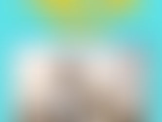 Top 6 Memory Foam Dog Beds