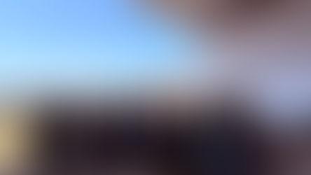 研究室花見を開催