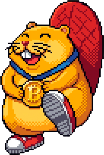 castor-rodape.png
