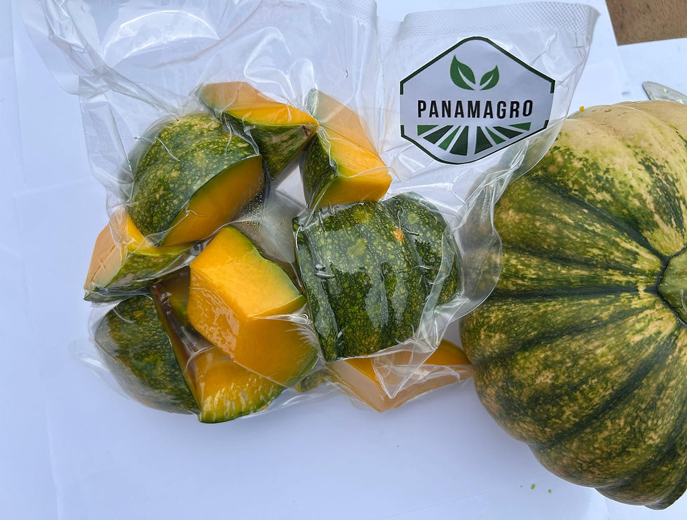 congelados1.jpg