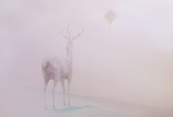 리나 Nomad_0015004