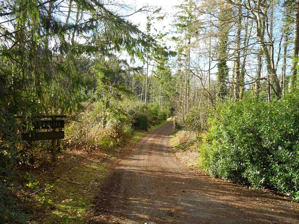 DSCN1056.JPG