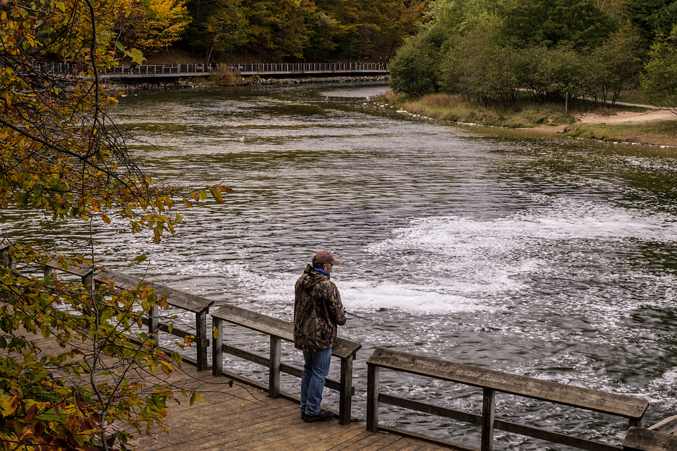 adapter sa technique de pêche en automne
