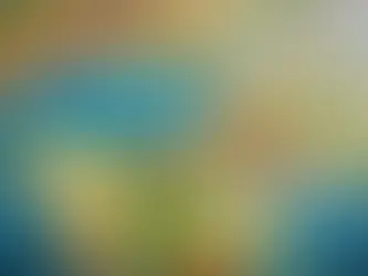 Unveiling the Scope: A Closer Look at https://schema.org/areaServed