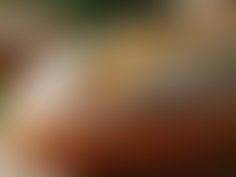 Cheesy, Herbed, Floured, Crusty, Sourdough Bread