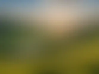 5 Essential Digital Detox Tips for Unplugging in a Hyperconnected World