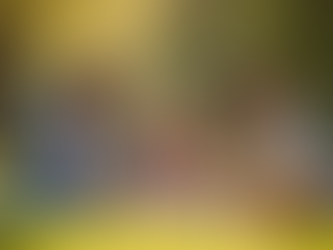 How to Make the Most of a Family Night Out