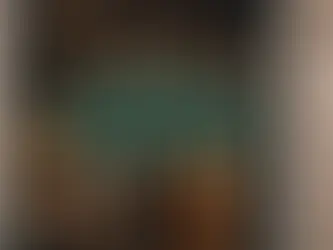 Unveiling the Unknown: A Brief Summary of schema.org's businessFunction