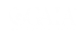 logo Blanco sin fondo-01-01.png