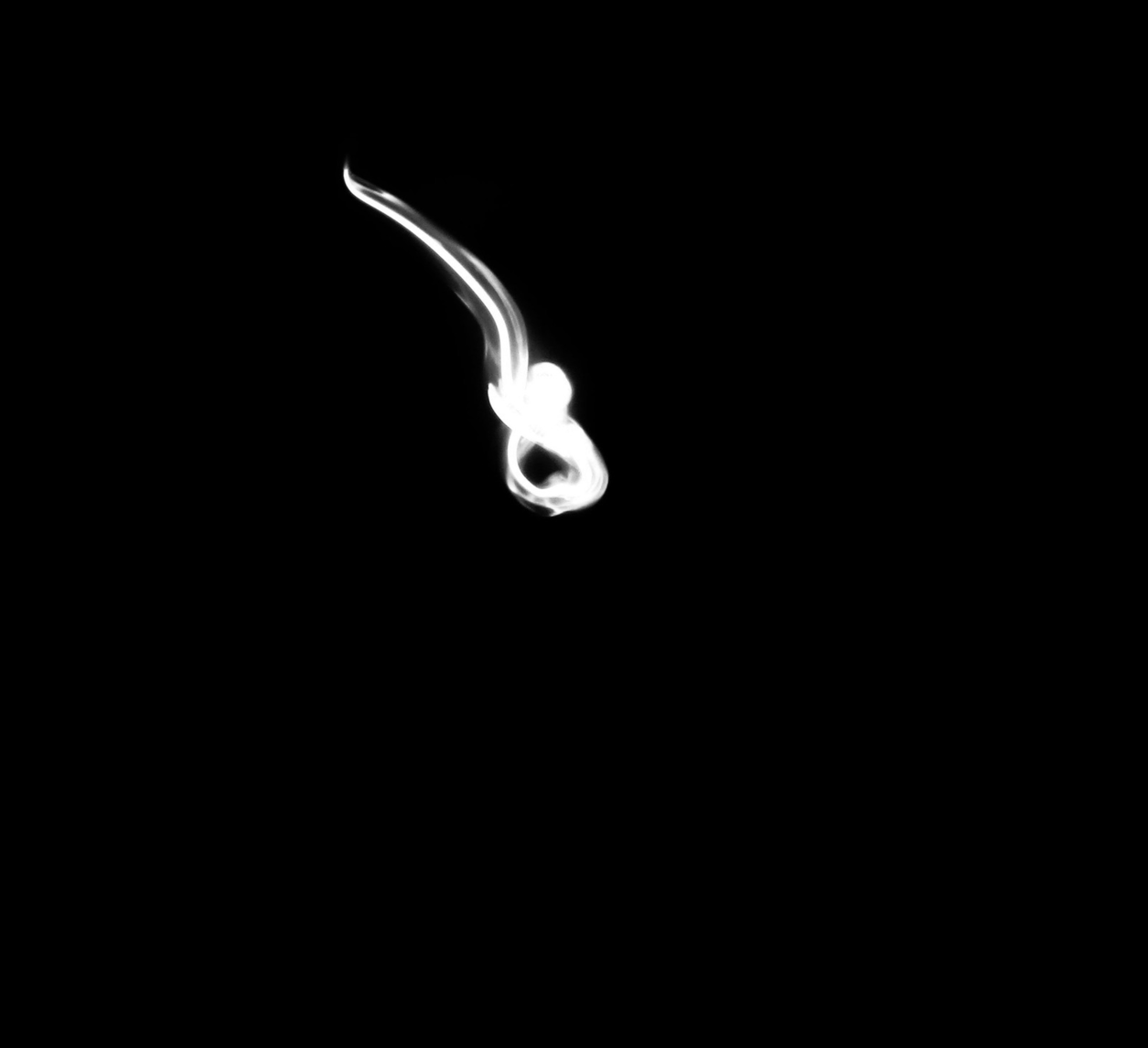 output_ryZyt3.gif