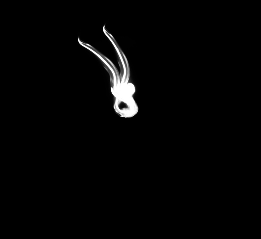 output_sPLNOI.gif