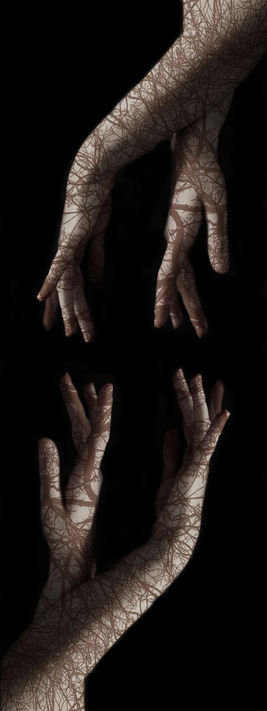 parceroedit23.jpg