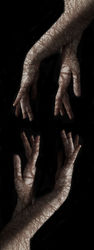 parceroedit23.jpg