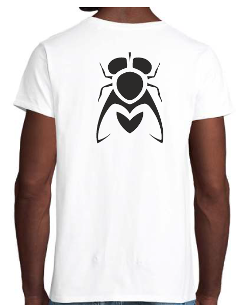 Miniature : T Shirt Homme