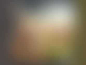 Pacto Condicional vs. Pacto Incondicional: ¿Puedes diferenciarlos?