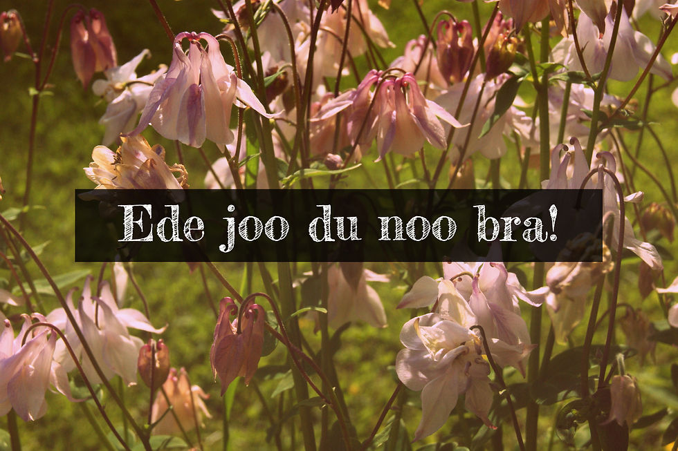 Miniatyrbild: Vykort