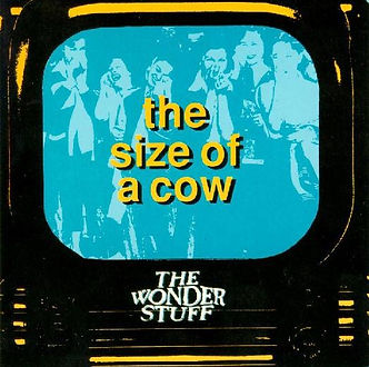The Size Of A Cow.jpg
