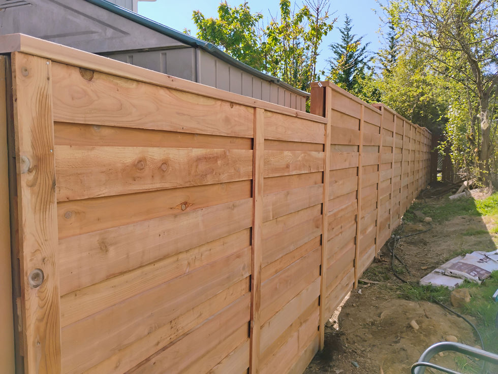 IMG_20250424_104950959_AE