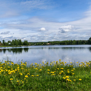 Bollnäs och nationaldag