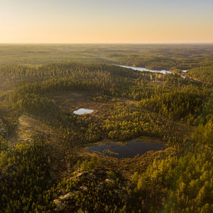 Drönarbild från i våras