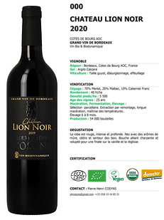 LION NOIR 2020(1).png