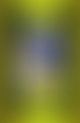 Montag, 15. November 2021