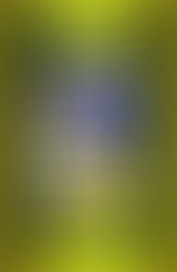 Montag, 15. November 2021