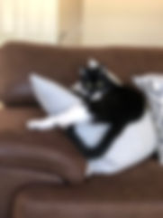IMG_0763.jpeg