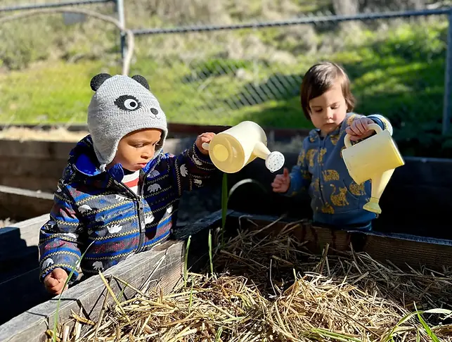 preschool garden time.webp