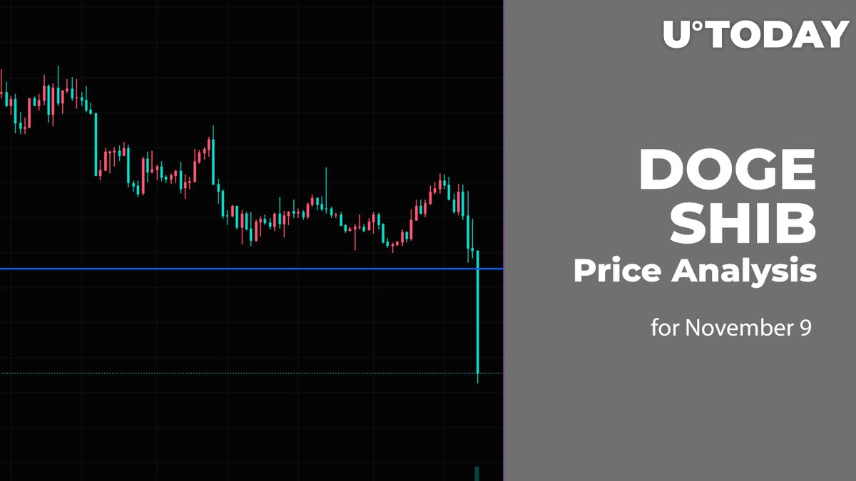 DOGE and SHIB Price Analysis for November 9
