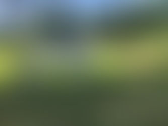 Klubová výstava WDK - Golf and Spa Resort Konopiště