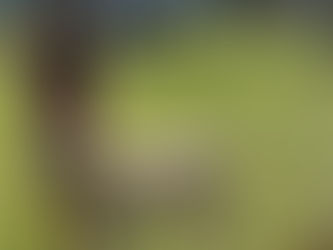 Flowers premiere in working class