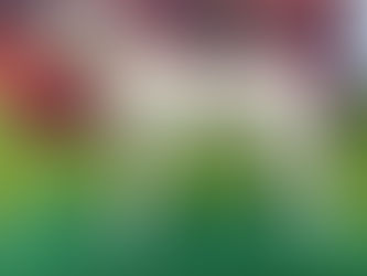 Flower Ar'Daroth became the Czech beauty champion!