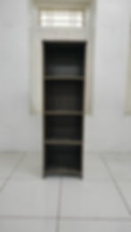 model1 (2).jpg