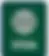 visa-support.webp