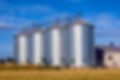 silo's in maisveld down to earth plant.j