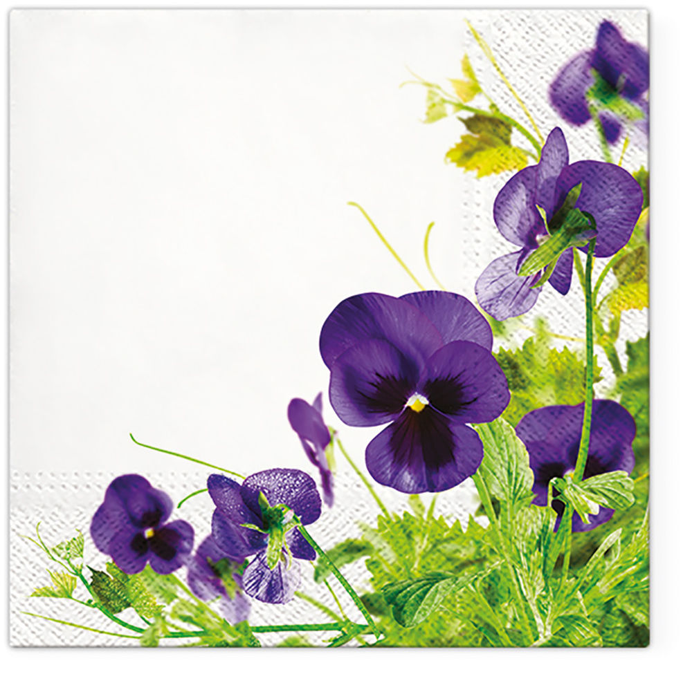 TETE - Pasies Frame