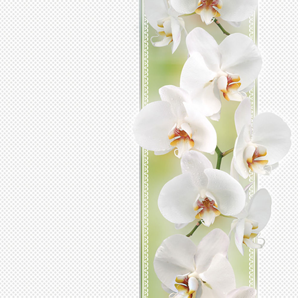 DAISY - Tender Orchid on Green