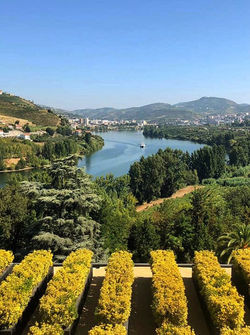 17848872044050491_edited