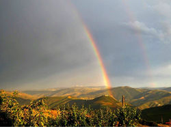 18042297877275301_edited