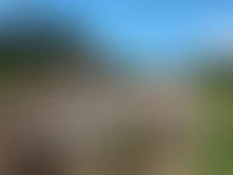 Boas notícias vindas do Trecho Sul da Via de Contorno de Florianópolis da BR 101