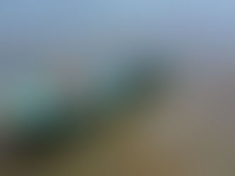 Condiciones del mar por densas manchas de microalga nociva para fauna marina