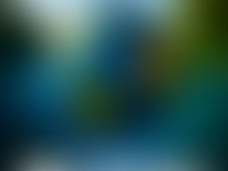 Dia Mundial do Meio Ambiente 2025